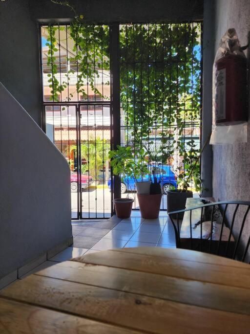 Small Studio Apt 5Min To Dt! Zihuatanejo Exterior foto
